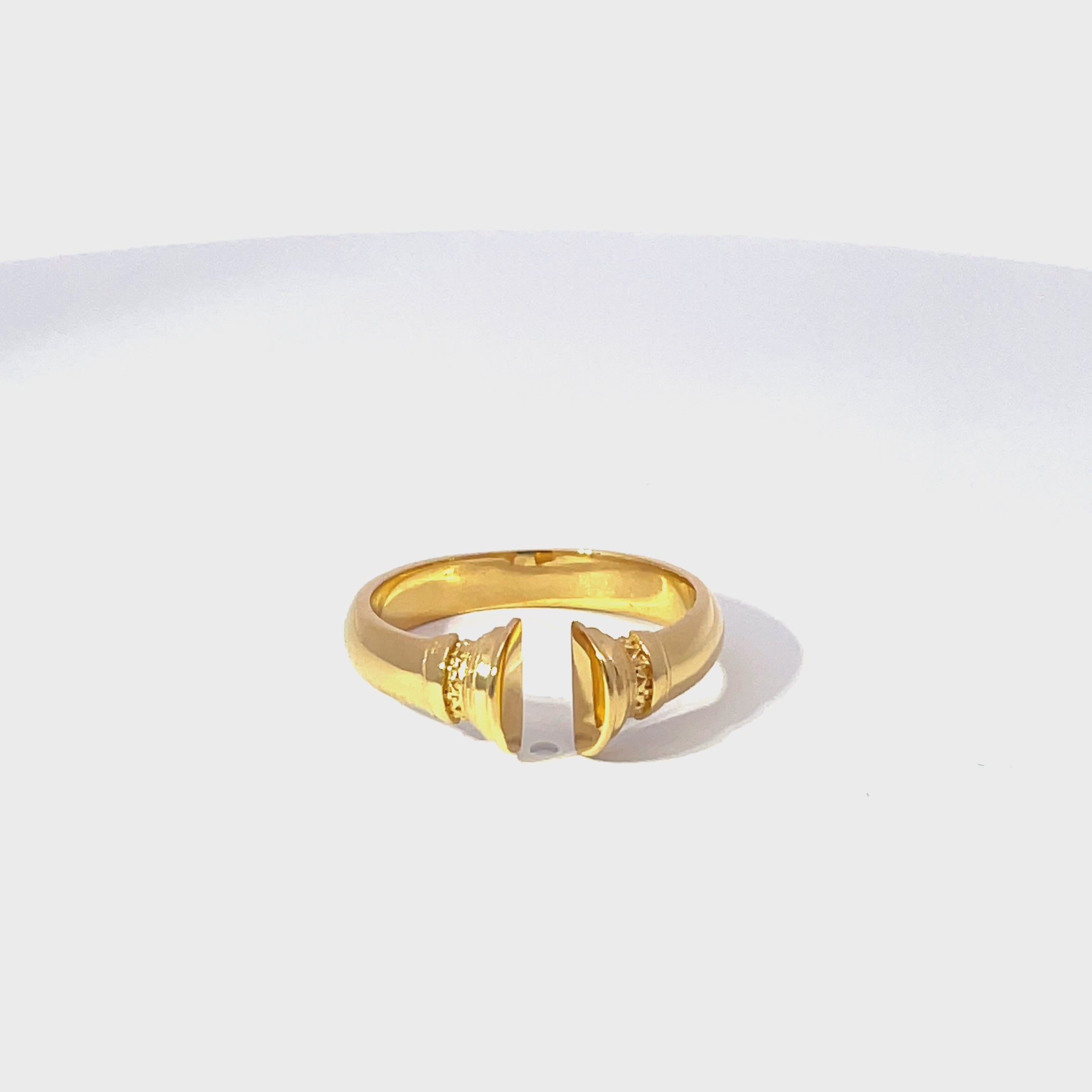 Ancient Roman Doric Column Torque Ring