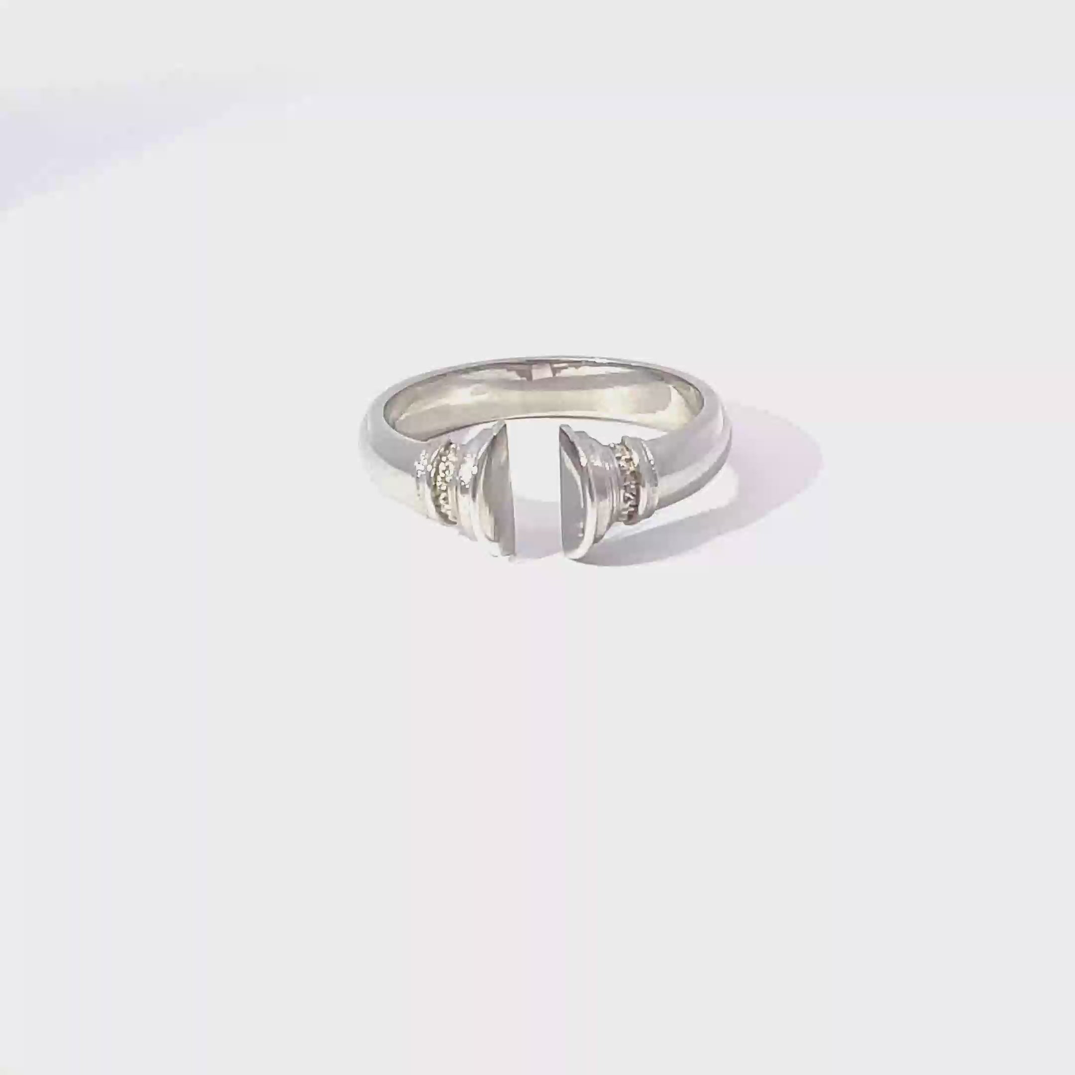 Ancient Roman Doric Column Torque Ring